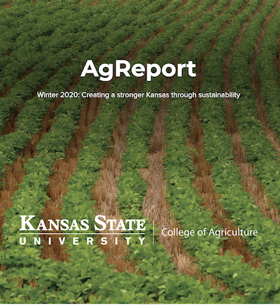 Ag Report 20