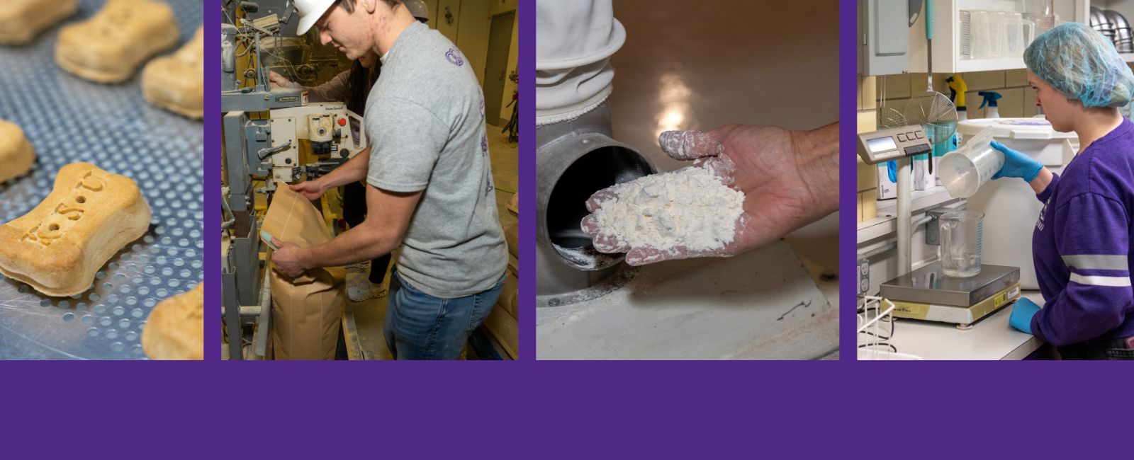 Grain Science Majors