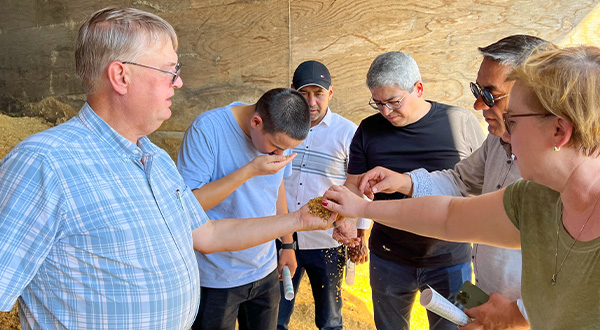 people inspecting grain