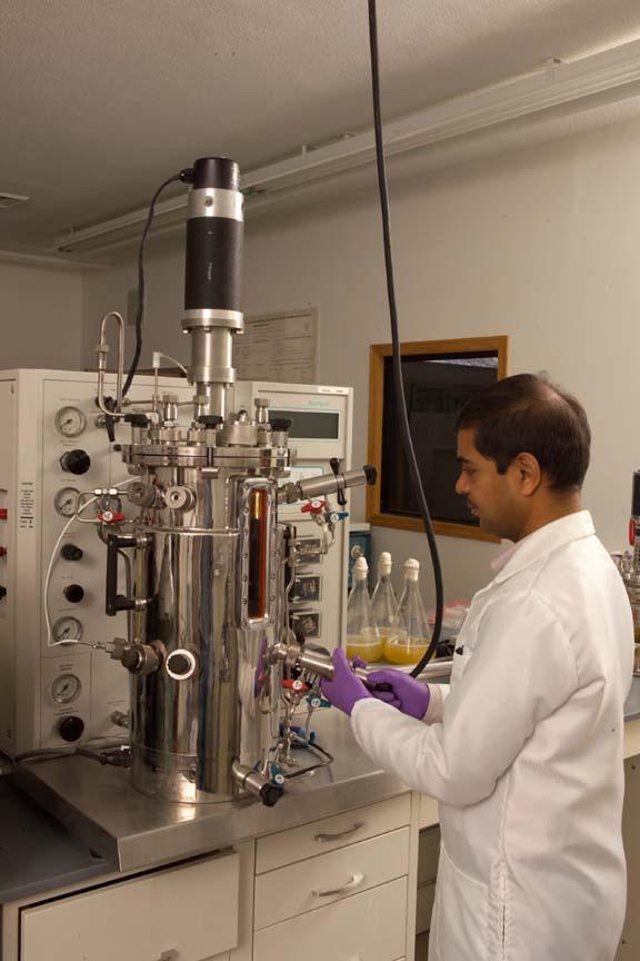 BioConversion/ Fermentation Grain Science and Industry Kansas