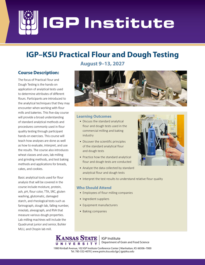 practical flour and dough flyer
