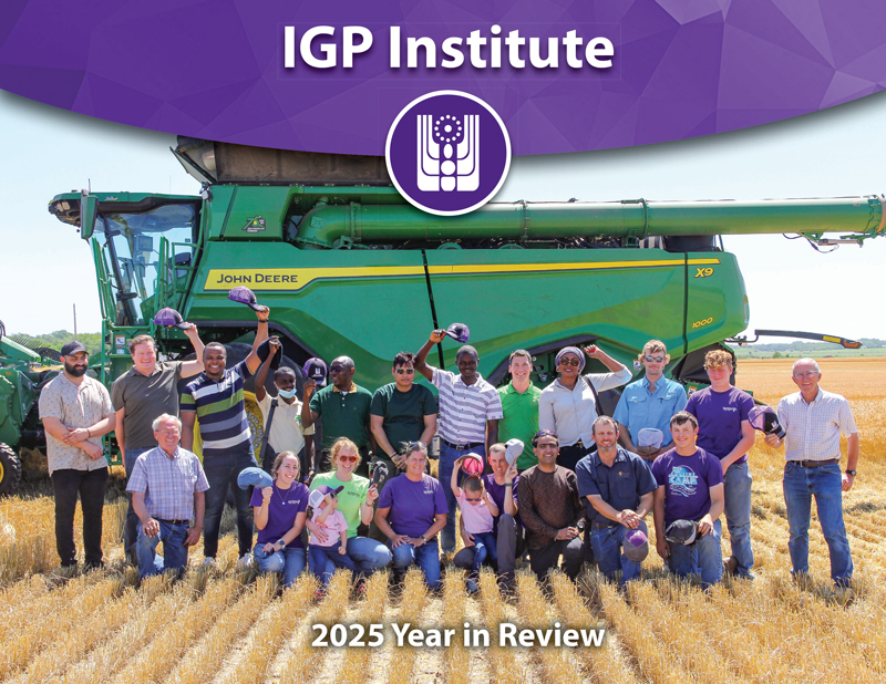 2025 IGP Year in Review
