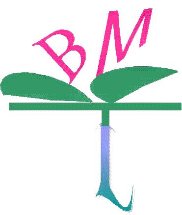 Bio-Materials and Technology Lab Logo